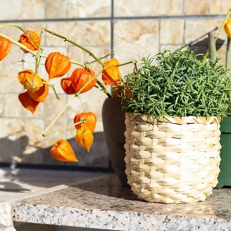 Апартаменты Terrazza Da...mare Рекко