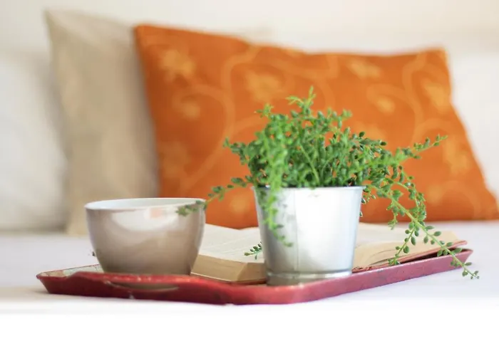 アパート Terrazza Da...mare レッコ