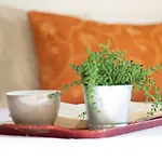 דירה Terrazza Da...mare רקו