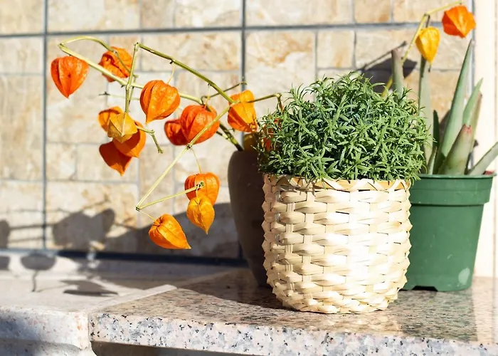 Lägenhet Terrazza Da...mare Recco